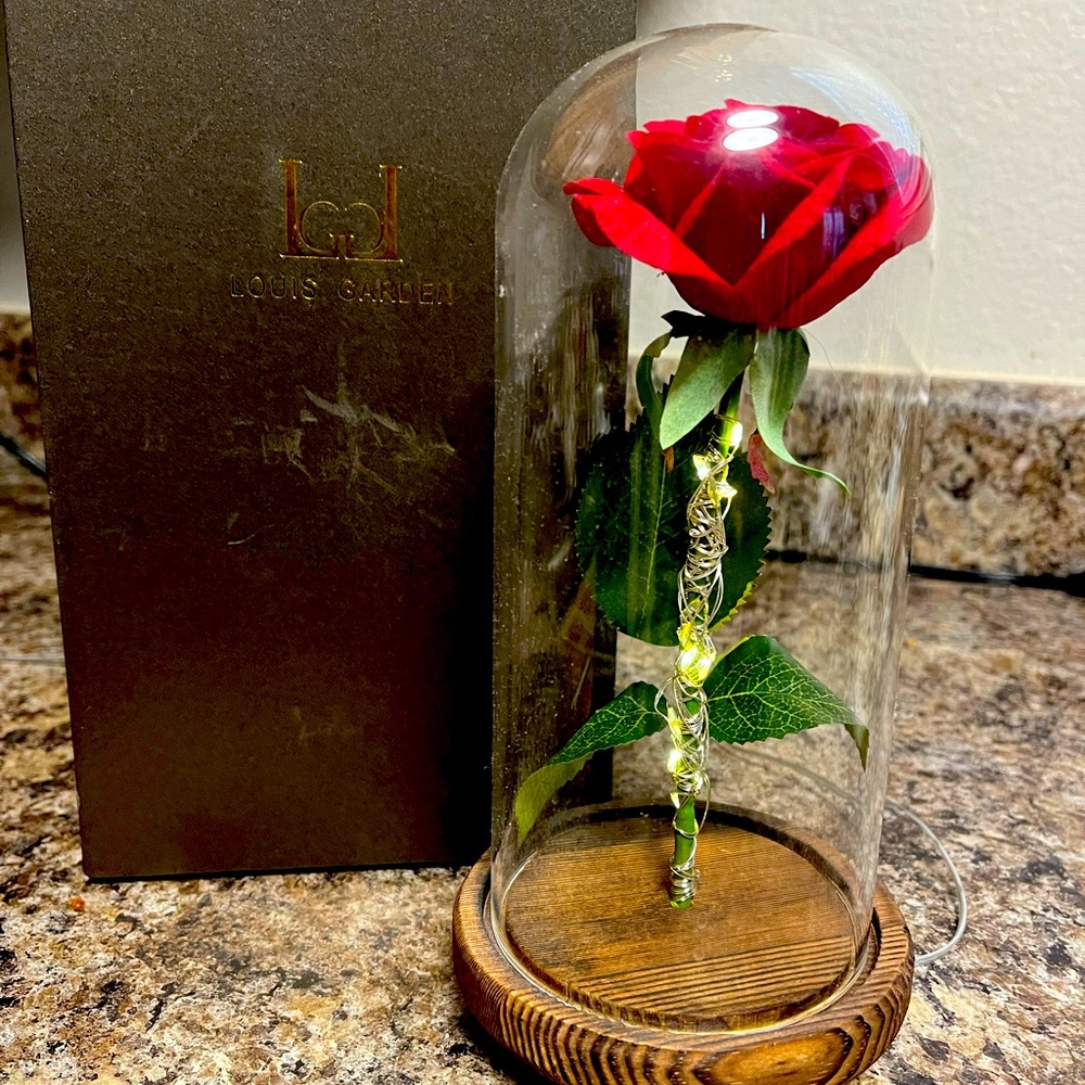 Beautiful beauty and the beast light up rose in glass dome with original box